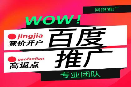 SEM推广代运营案例：如何实现精准营销